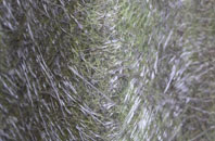 Blake End fibreglass roof work